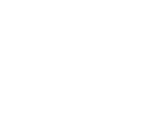 MADAME CATHERINE FLENGHI